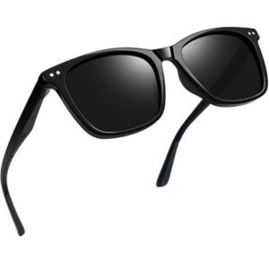 Classic Maverick Polarized Sunglasses